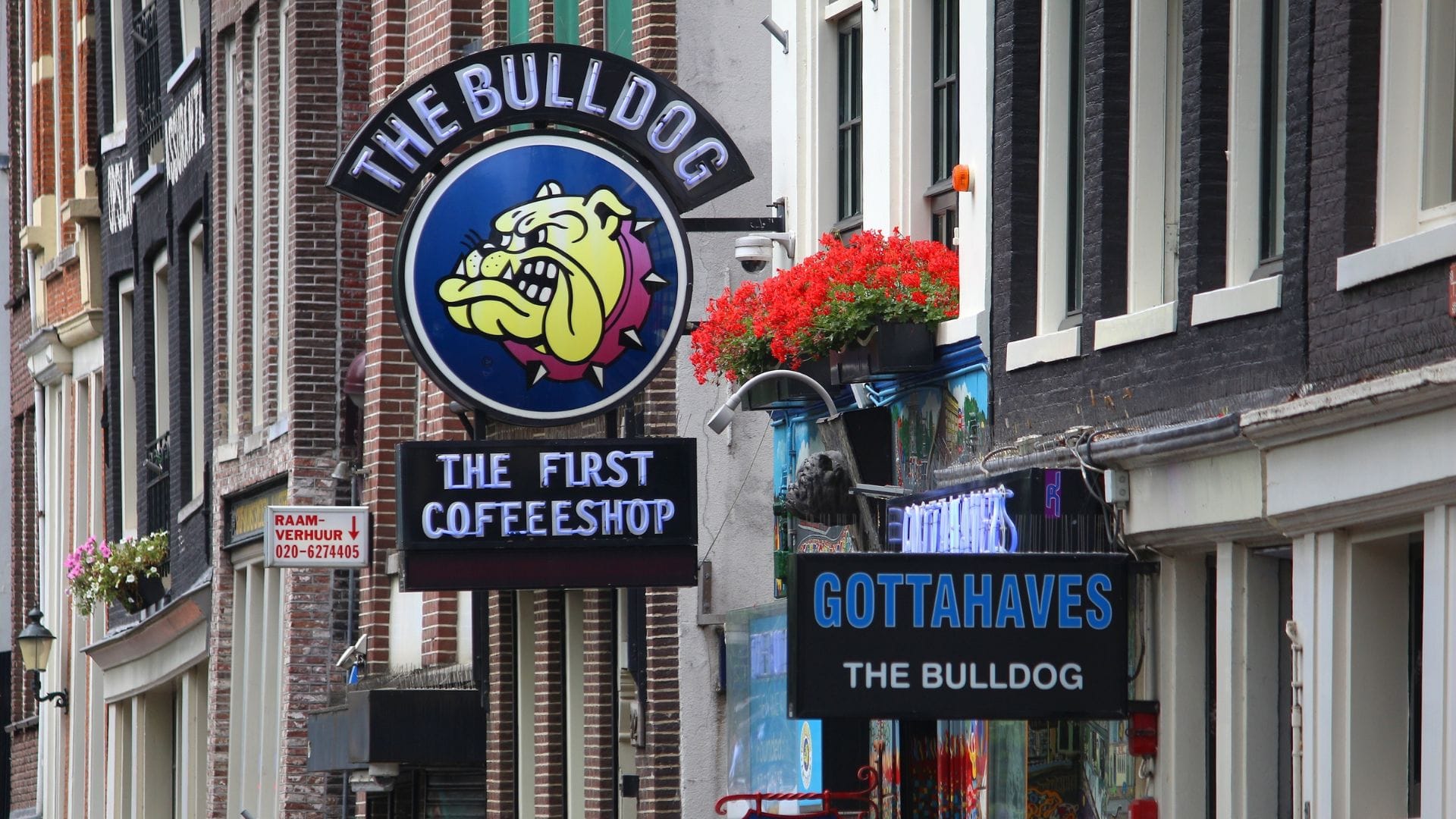 Famous Dutch Coffee Shops