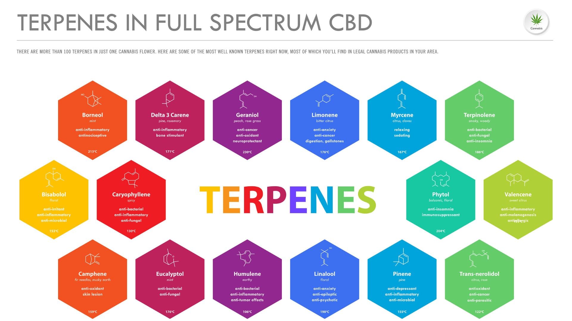 Guide to Terpenes in Cannabis