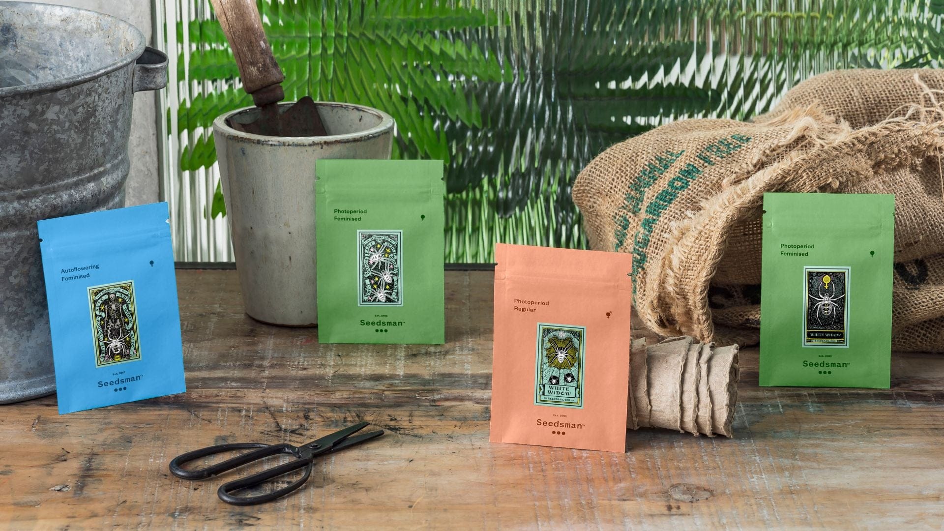 Always ensure you buy genetics from a reputable source