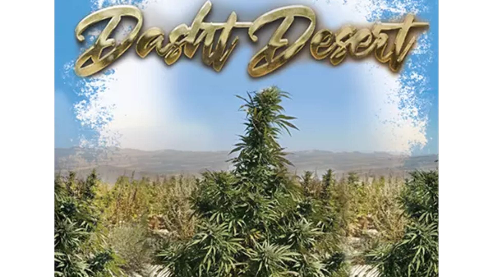 Dasht Desert by Landrace Warden