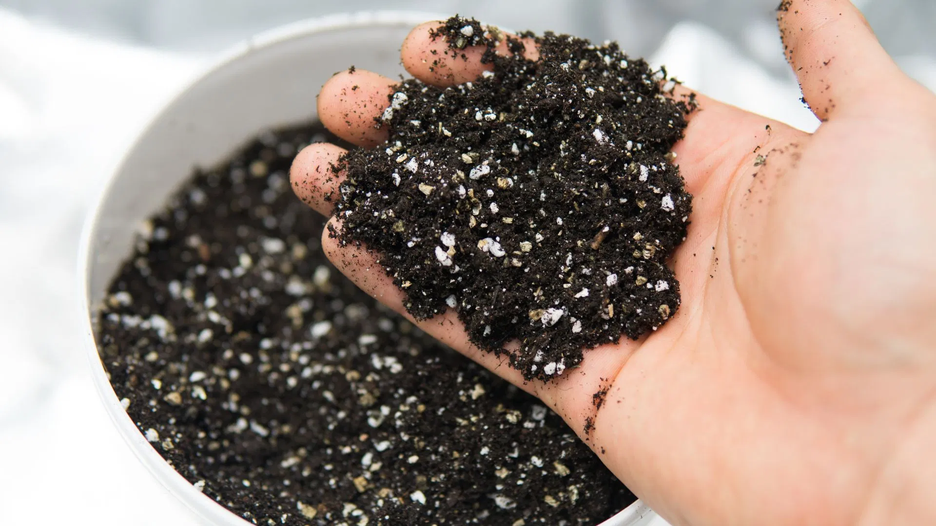 well aerated soil for autoflowering cannabis