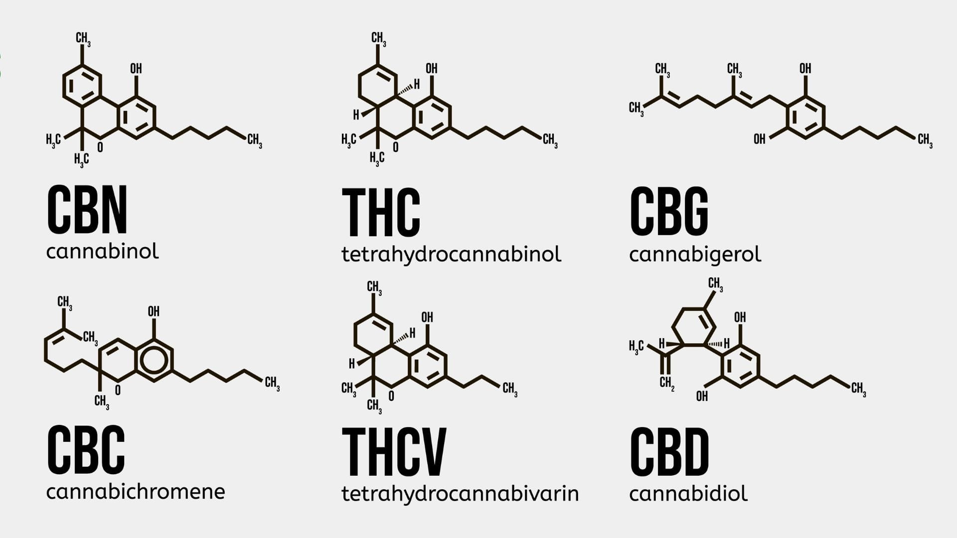 Cannabinoid infographic including CBN