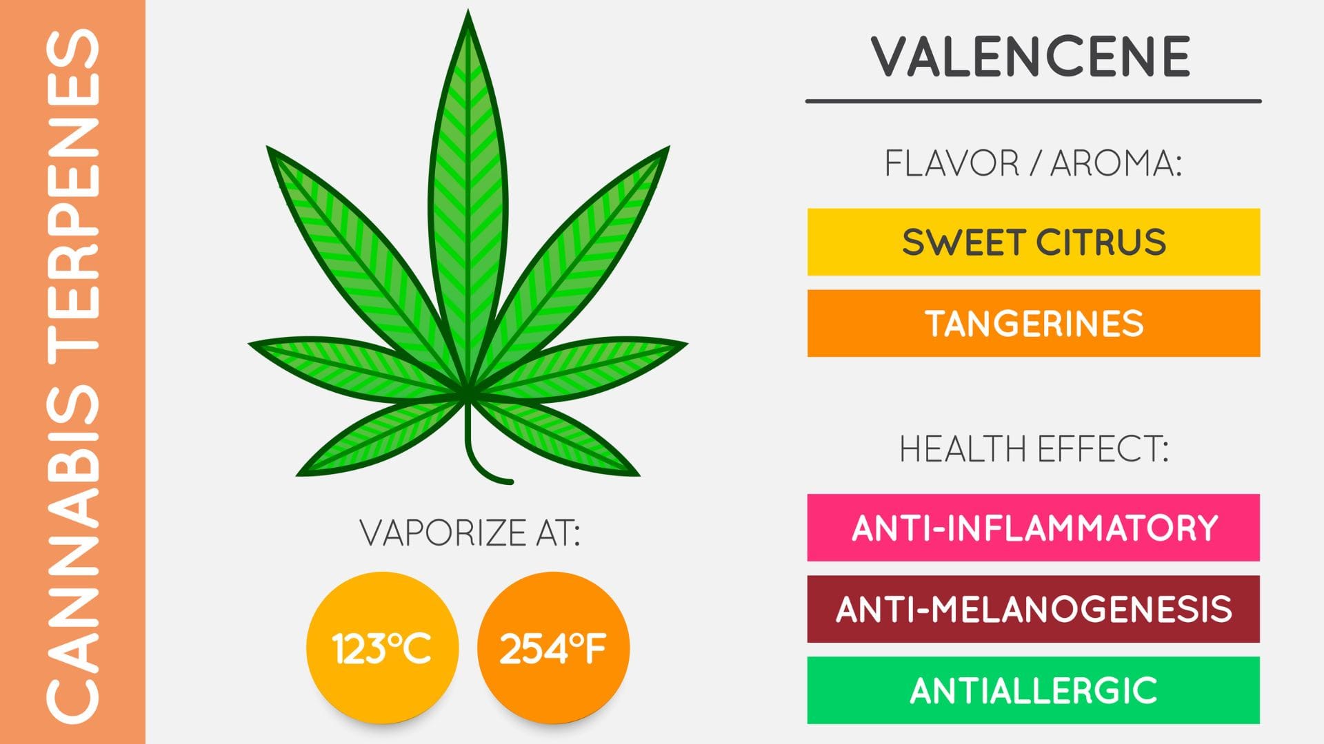 Valencene Terpene Infographic