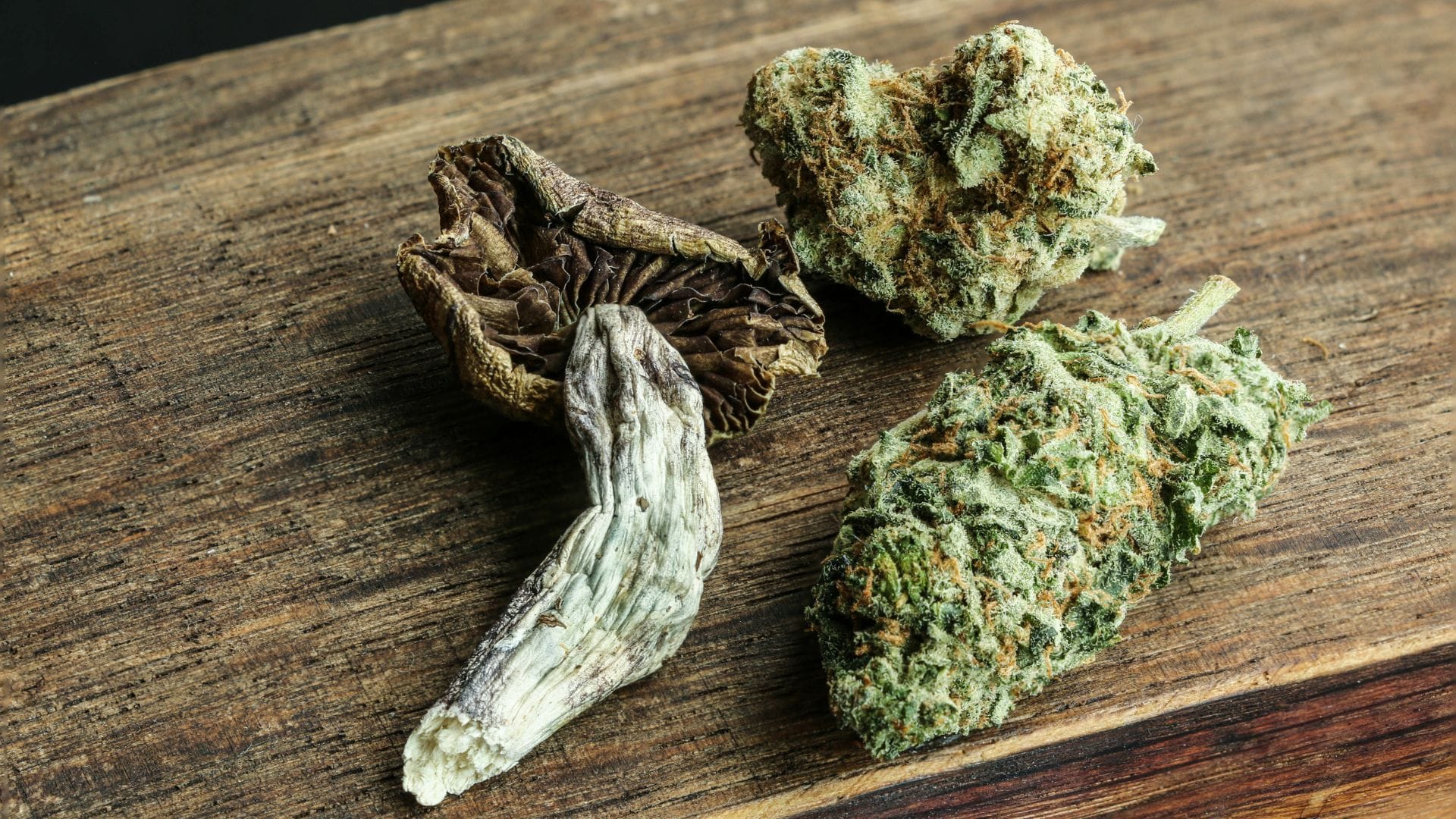 Cannabis and Mushrooms together
