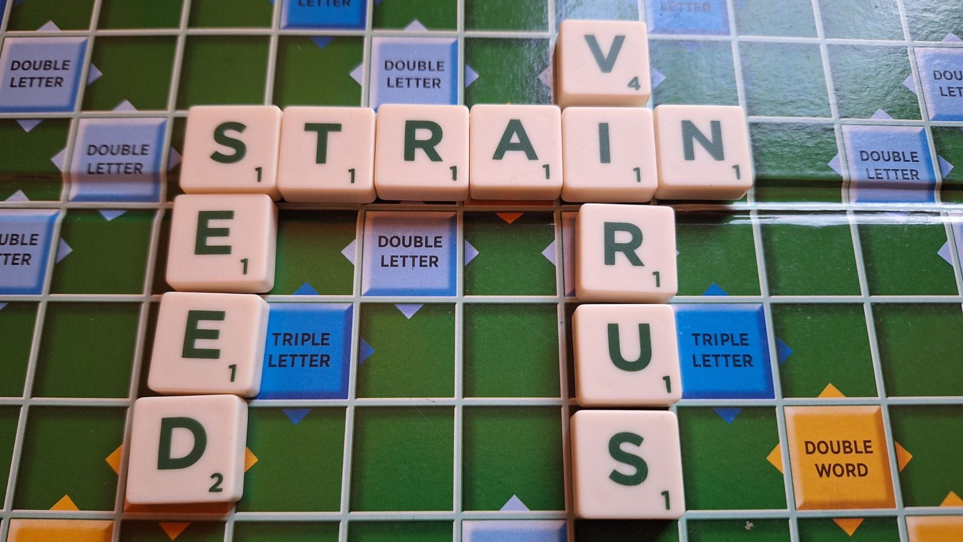 should we call a cannabis strain a strain?