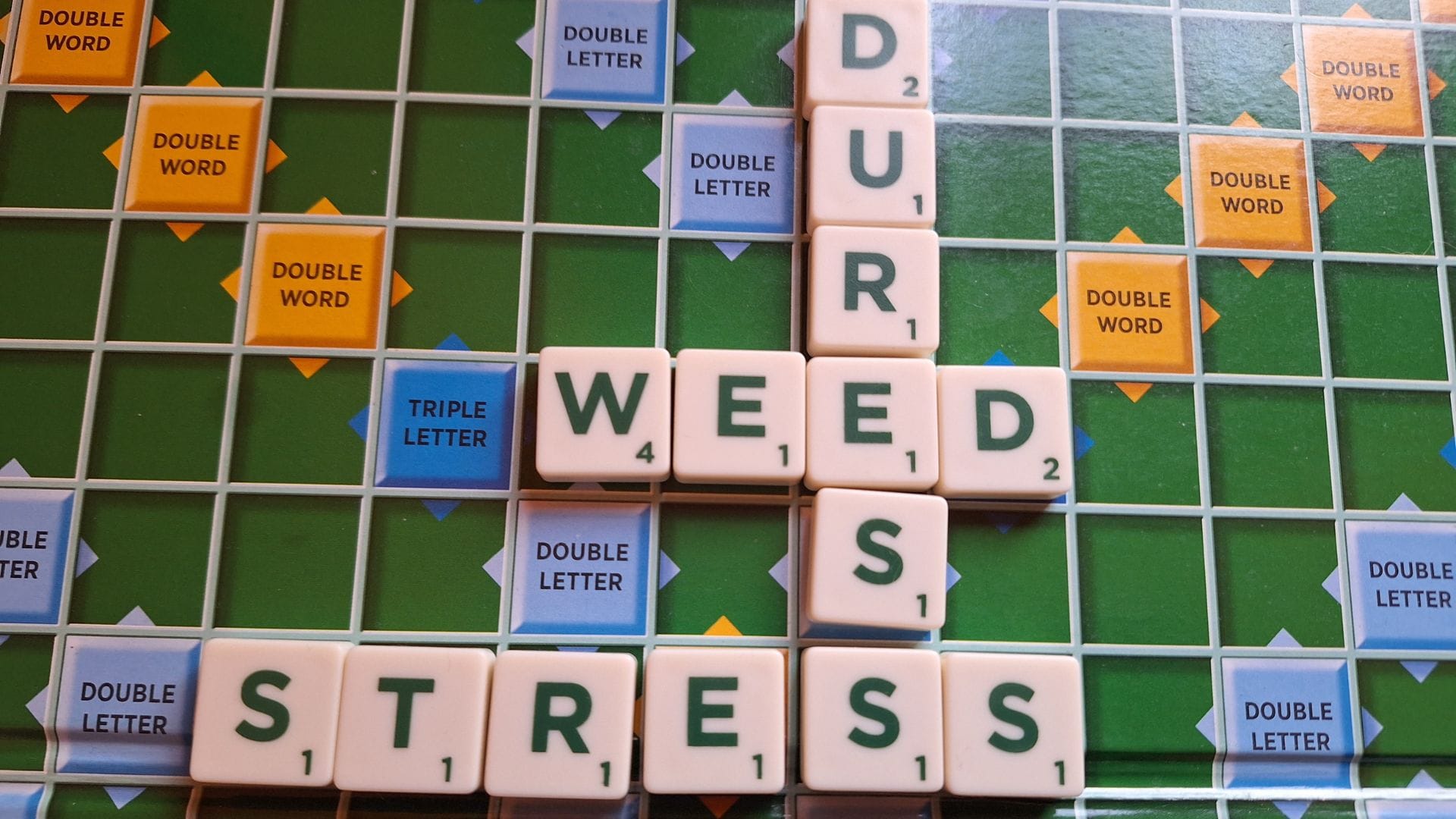 Duress is perhaps a better term than stress fro cannabis plants