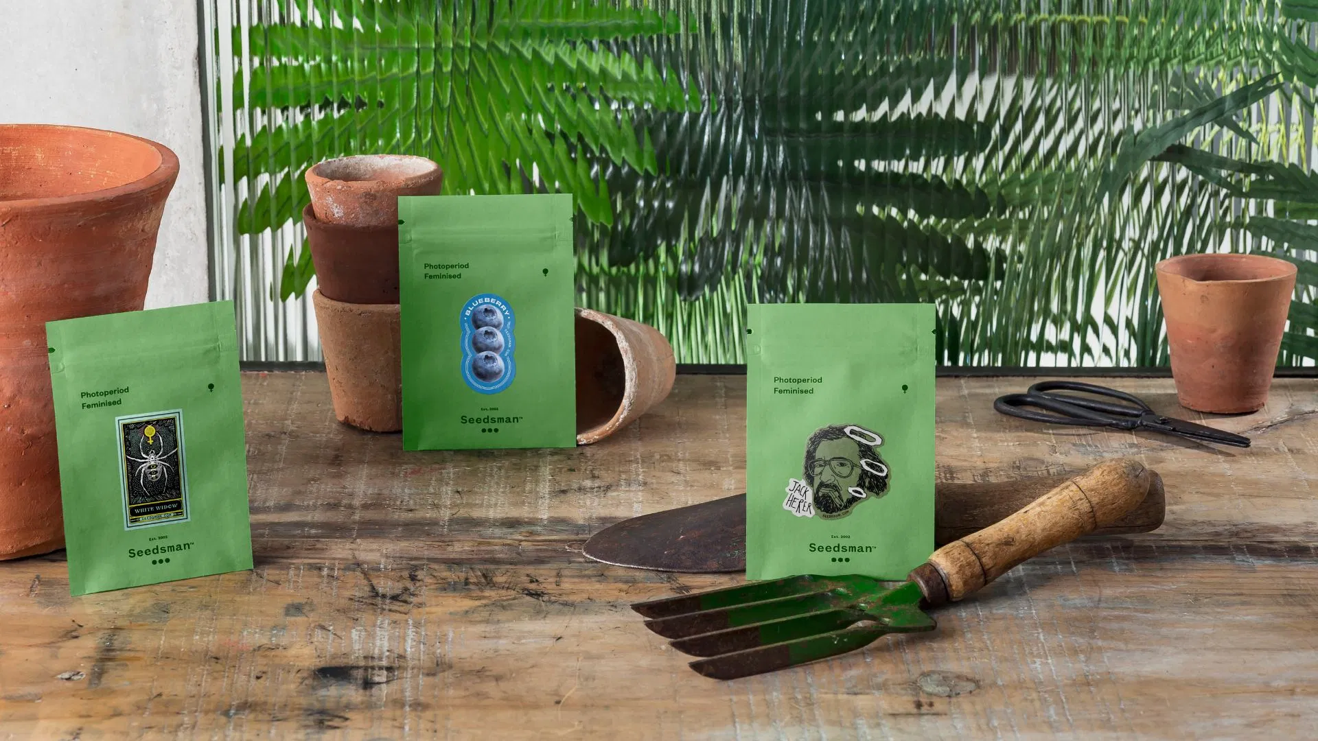 Seedsman seeds come in original, branded packaging