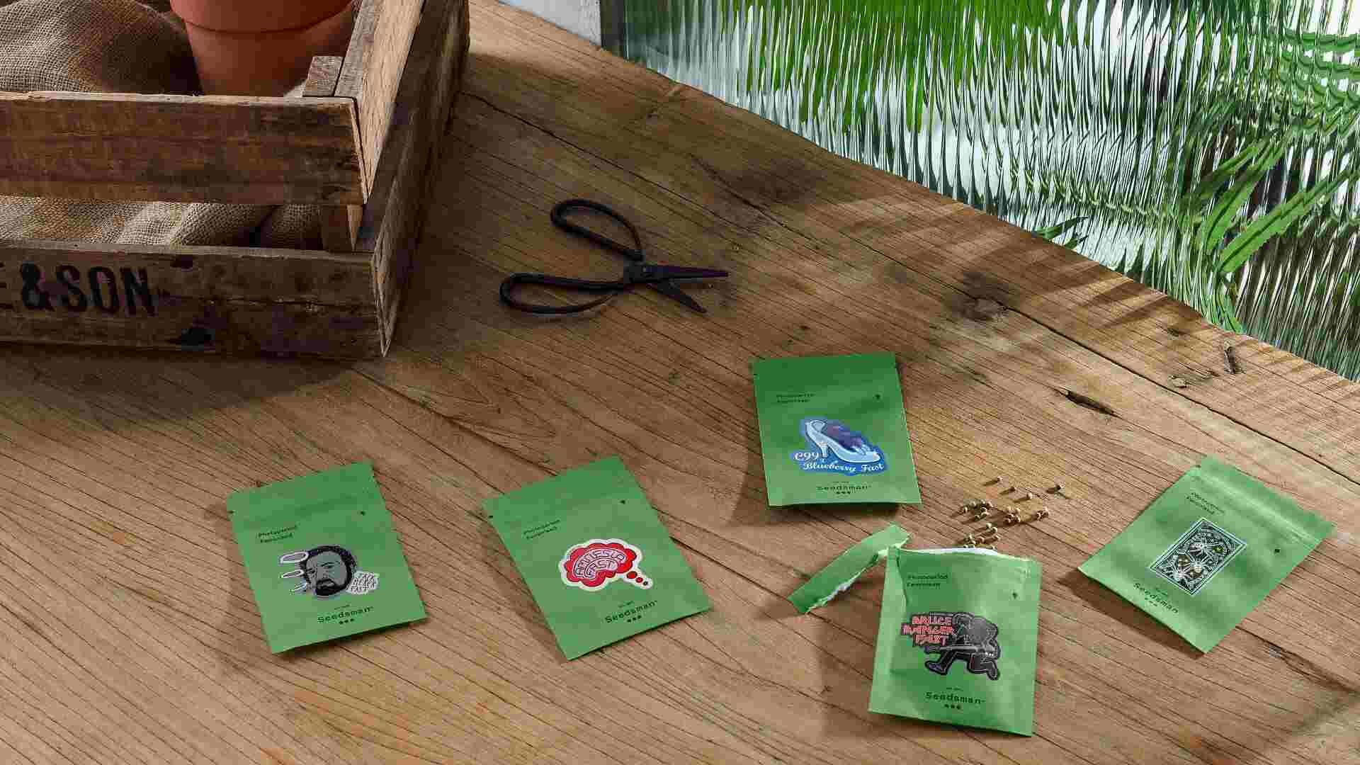 Quality seeds are vital for success