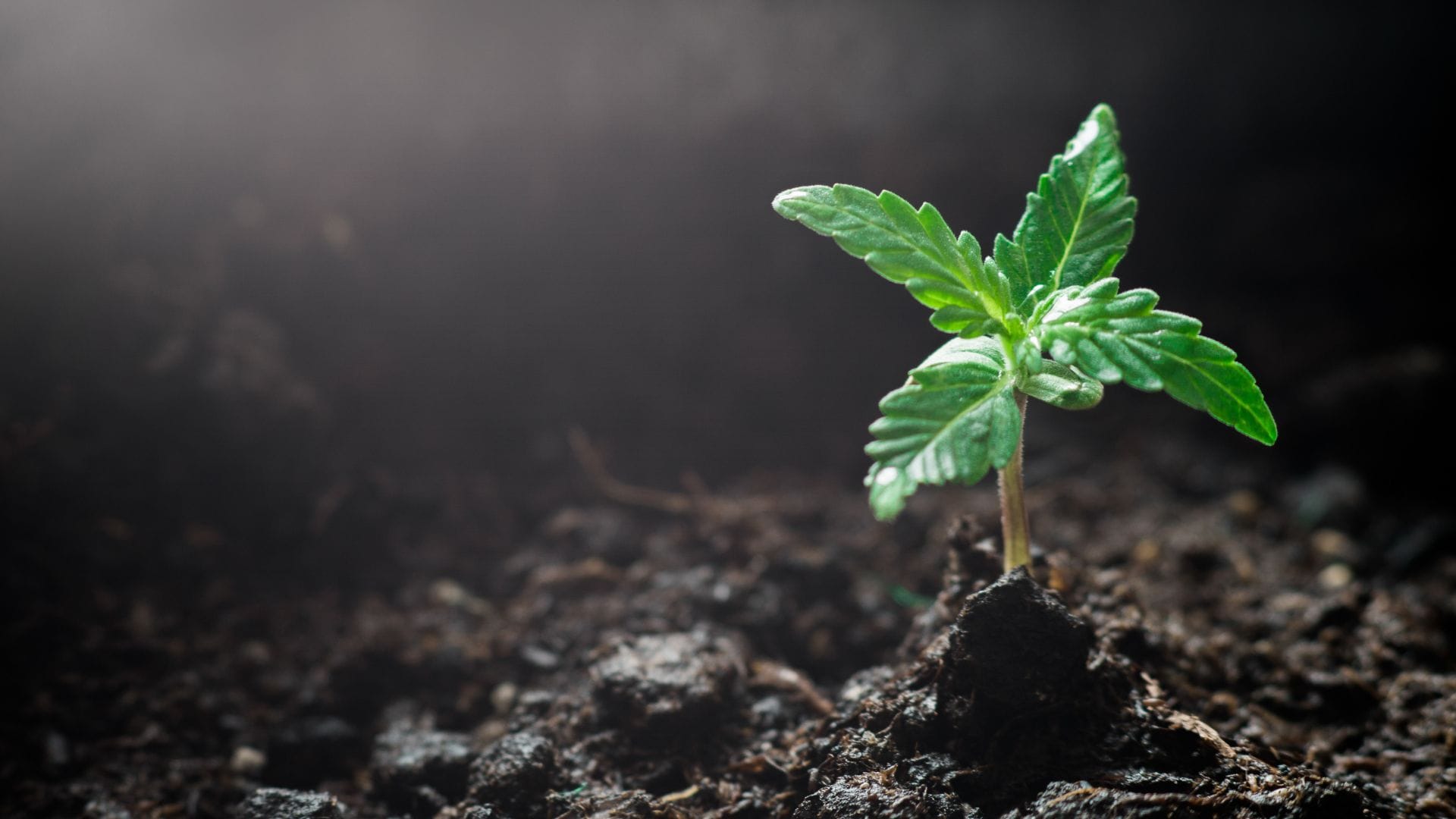 Nutrient needs change throughout the lifecycle