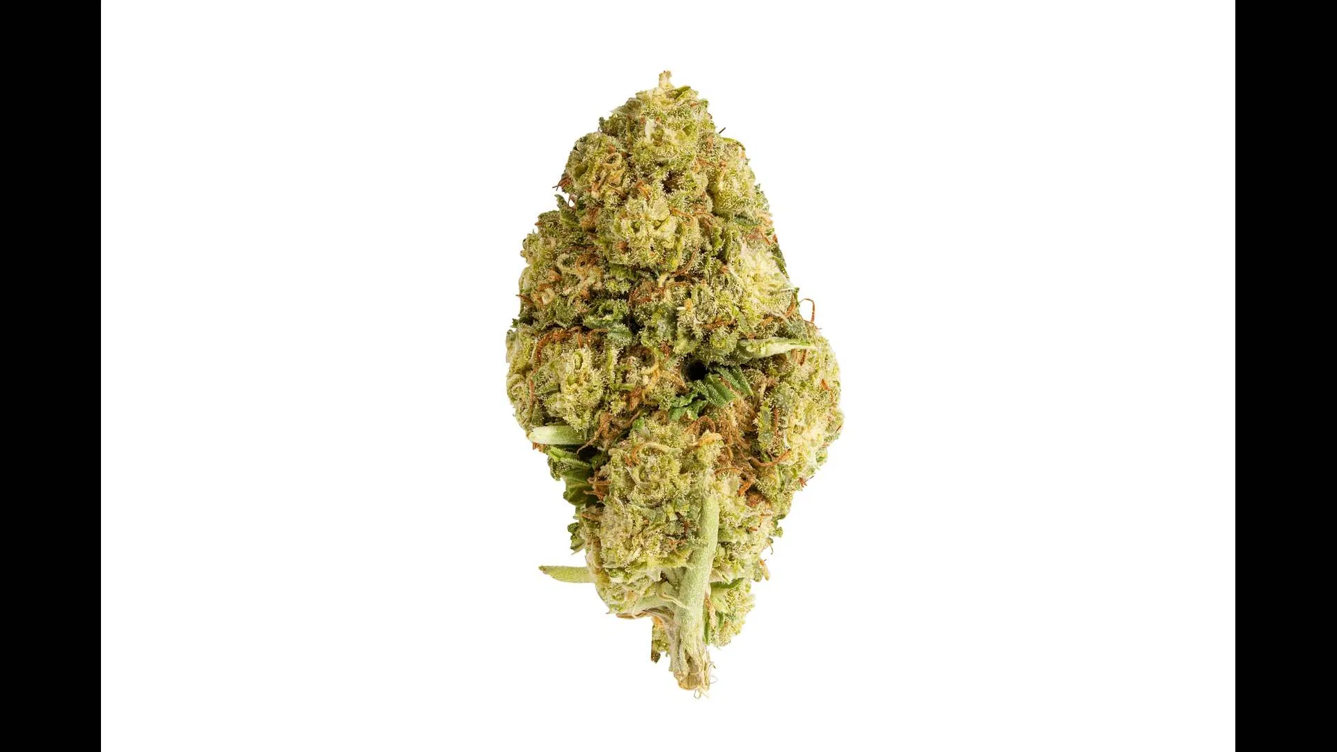 Skunk Bud