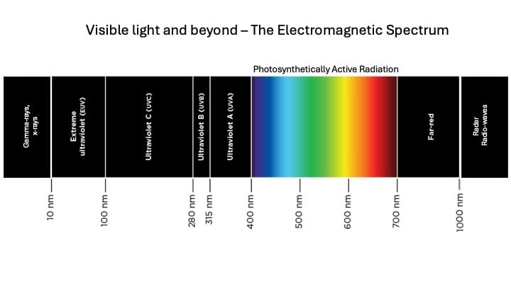 Light Spectrum graphic