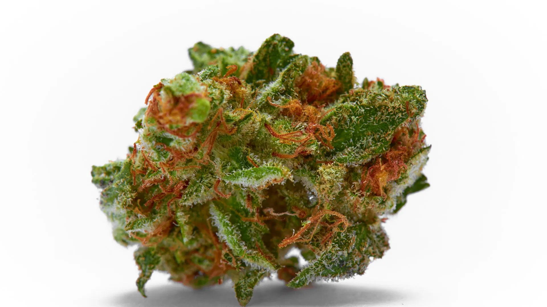 Sour Diesel bud