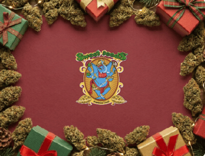 sweet seeds christmas promotional deal at seedsman