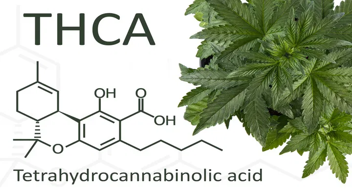 THCA