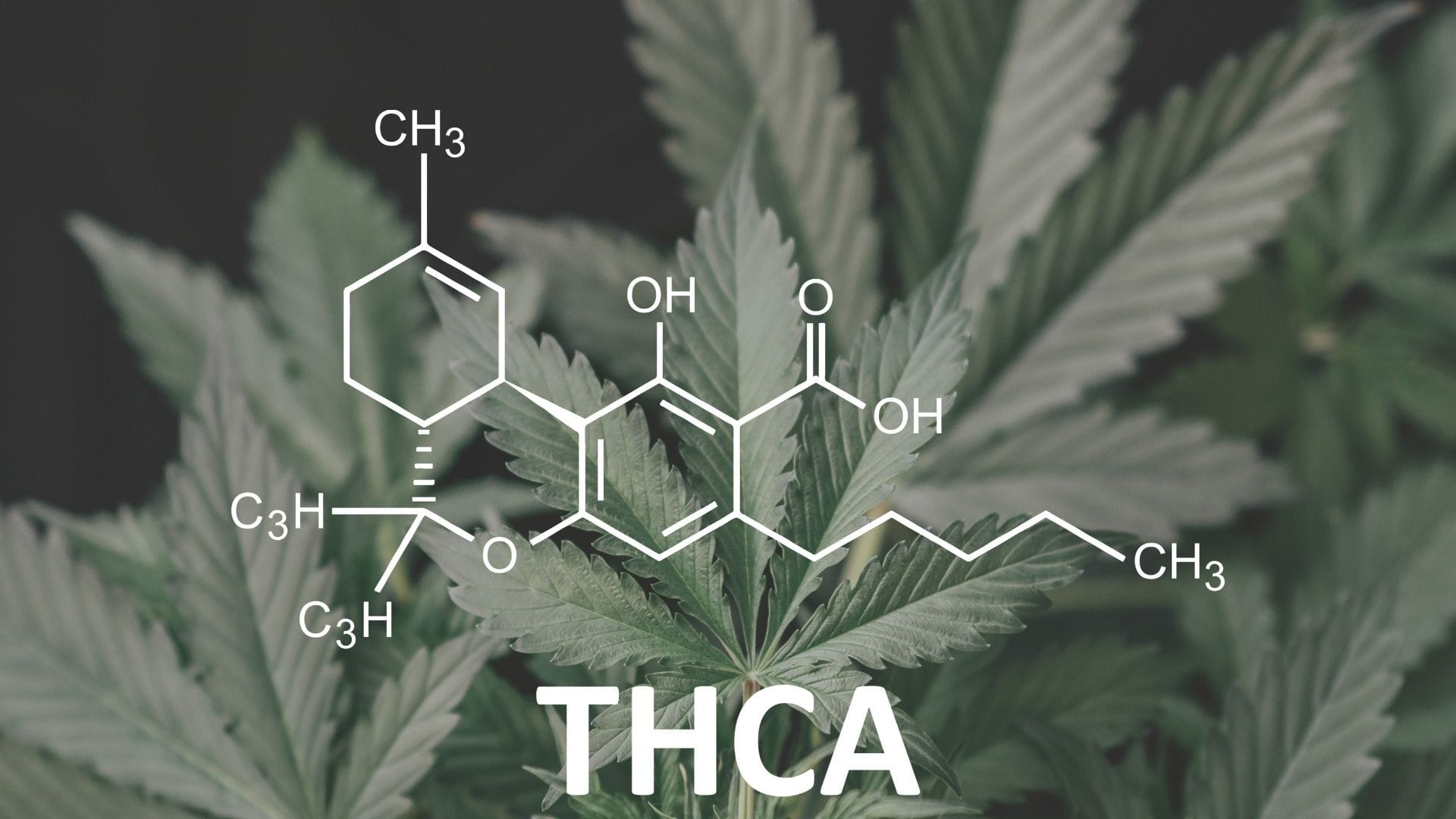 Formula For THCA