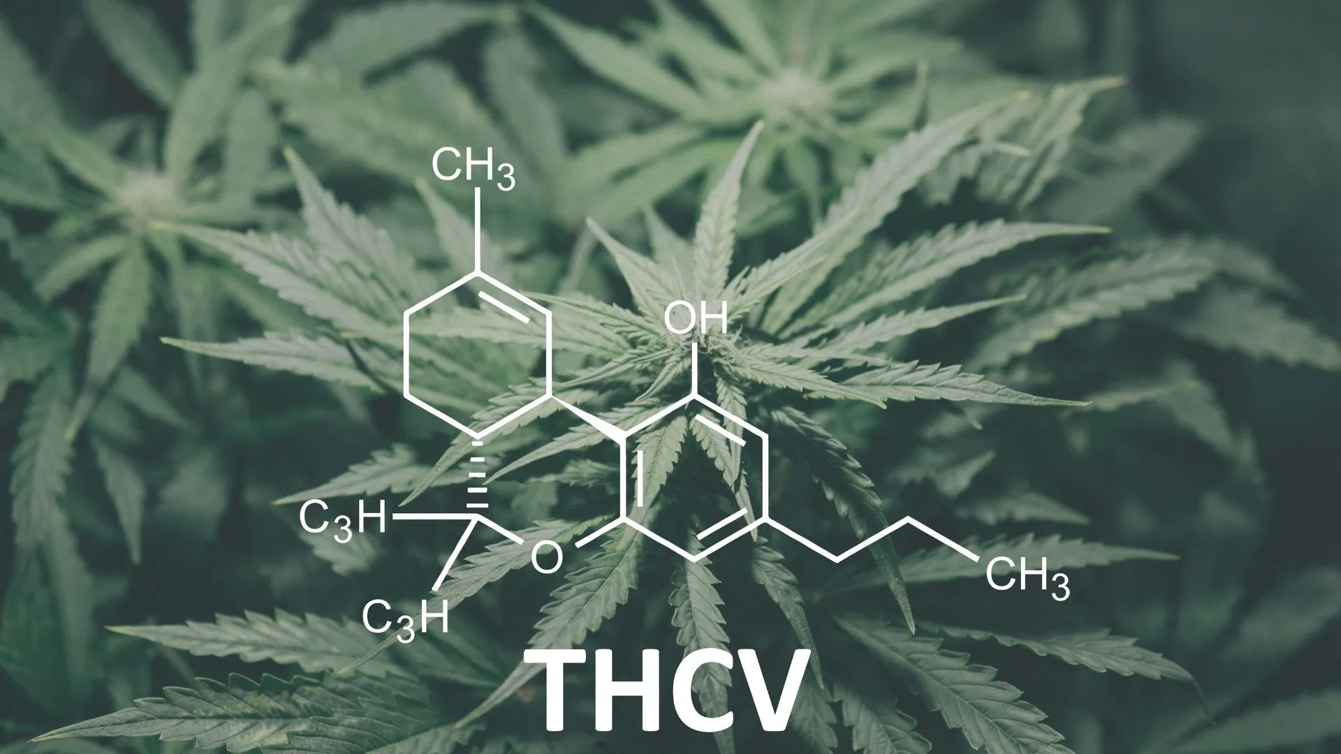 Formula for THCV