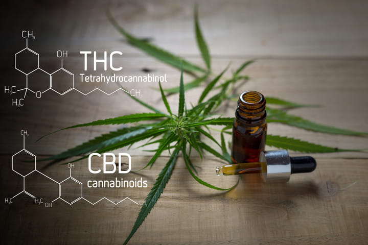 US Government cracks down on THC and CBD products