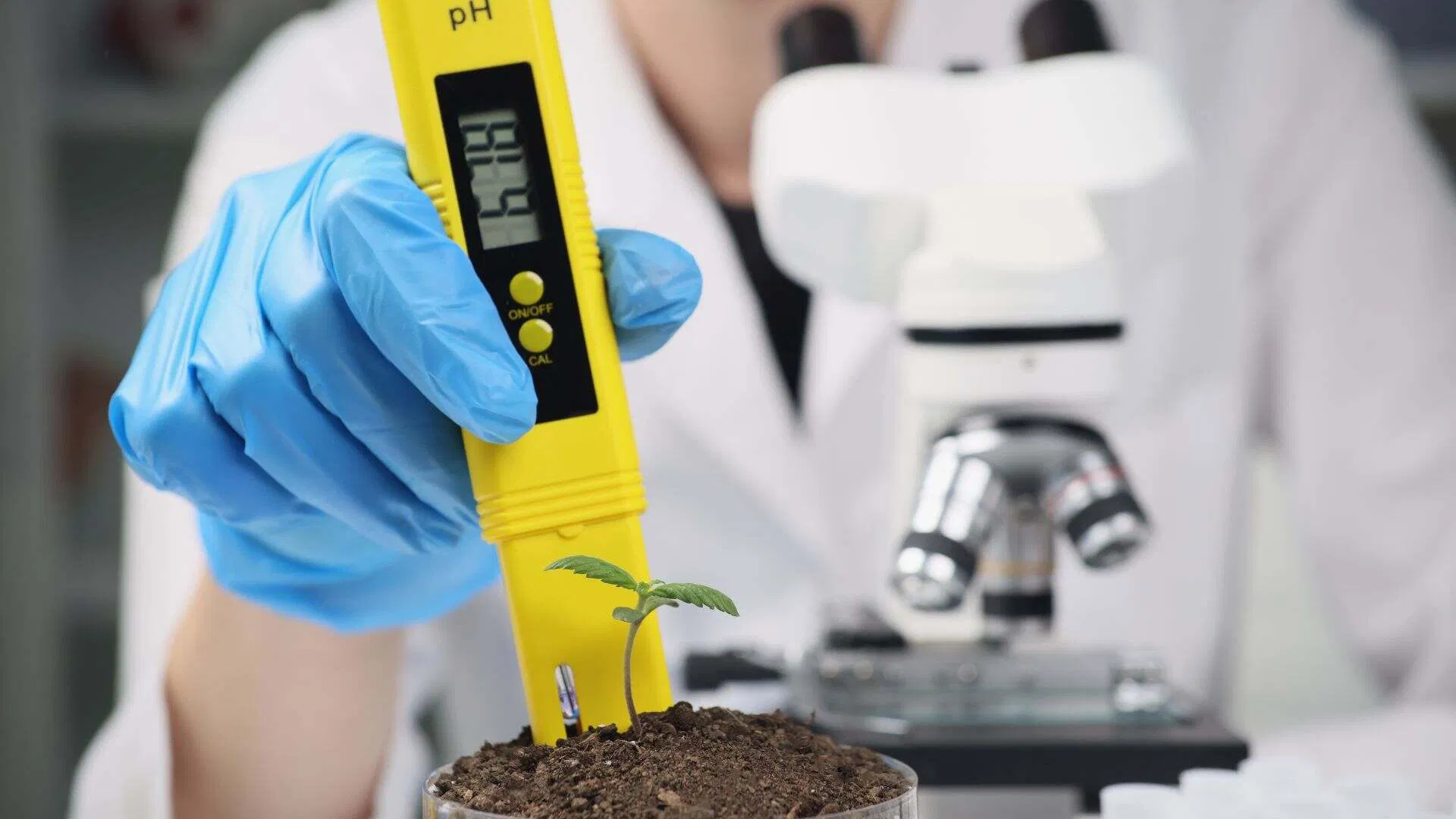 Cannabis soil must have the right pH