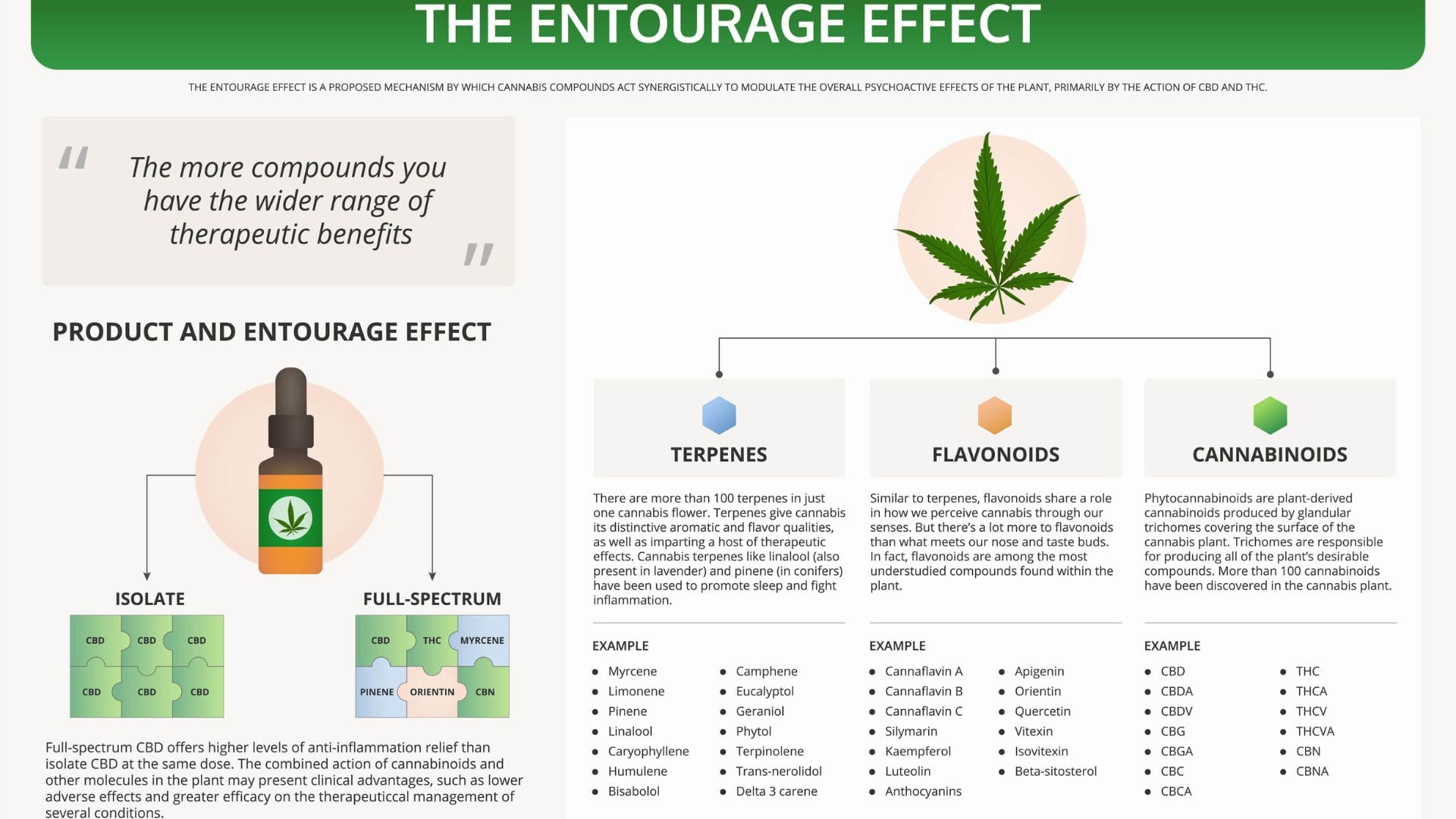 The entourage effect explained