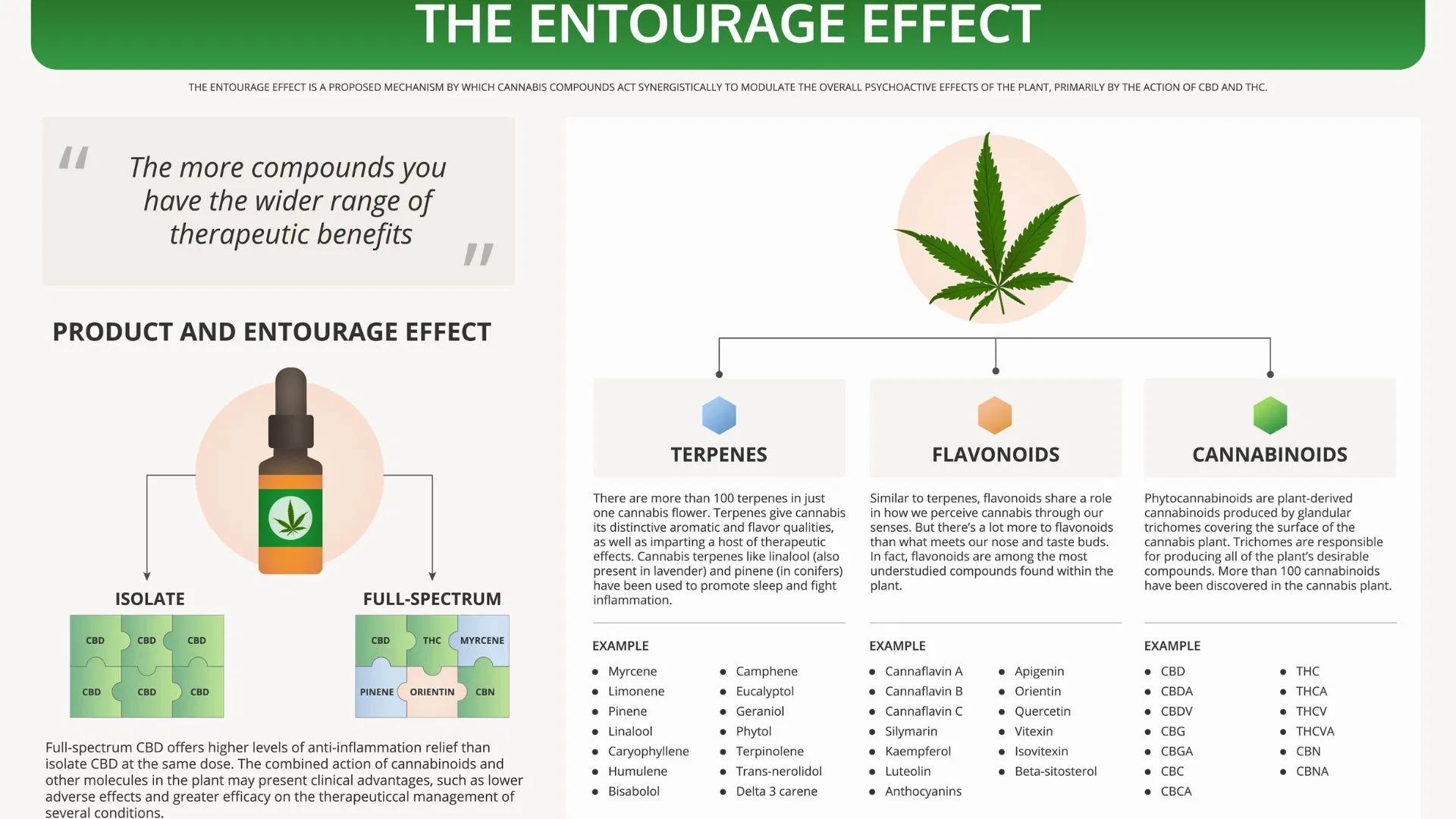 The entourage effect explained