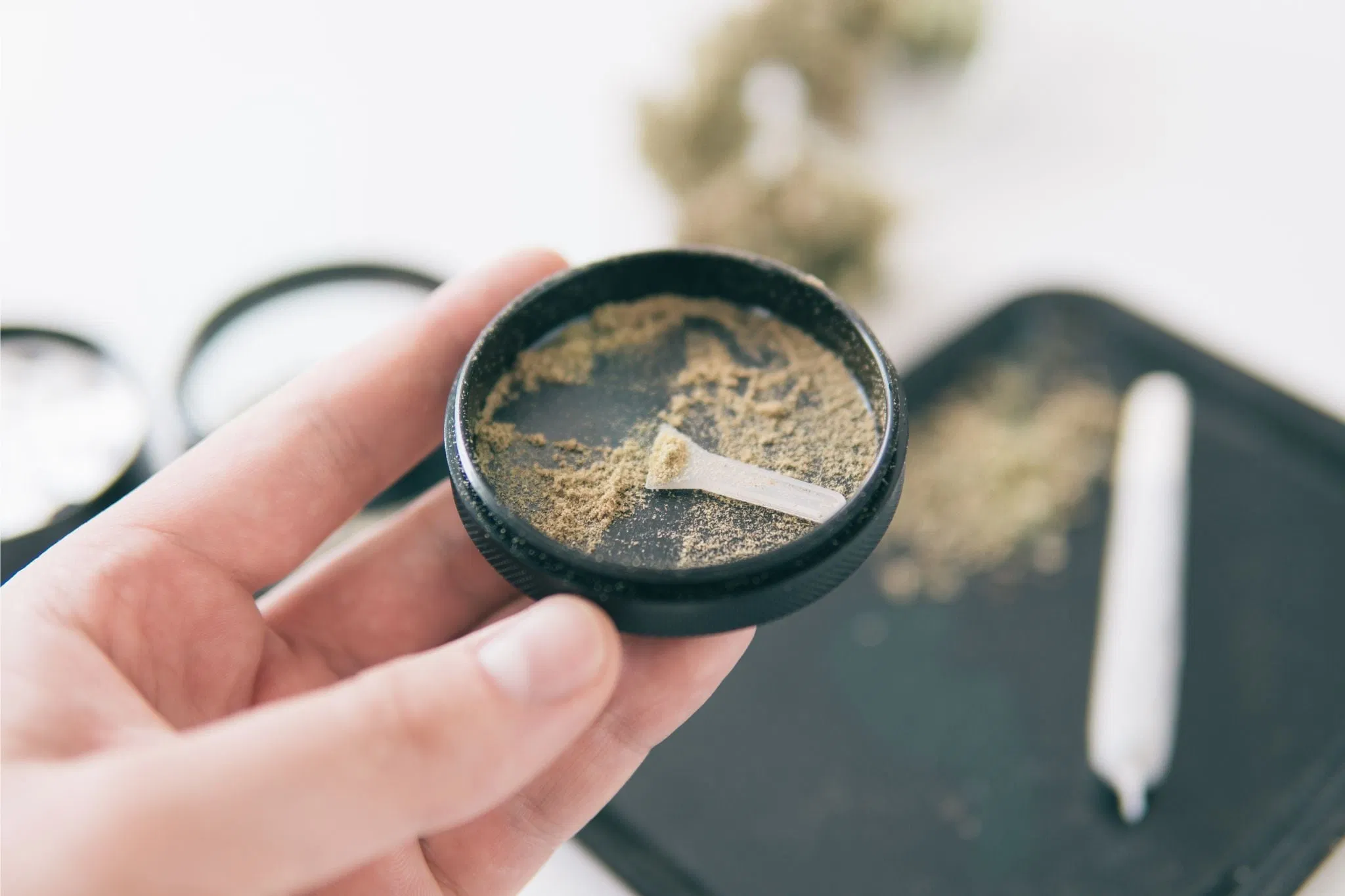 Kief in the grinder