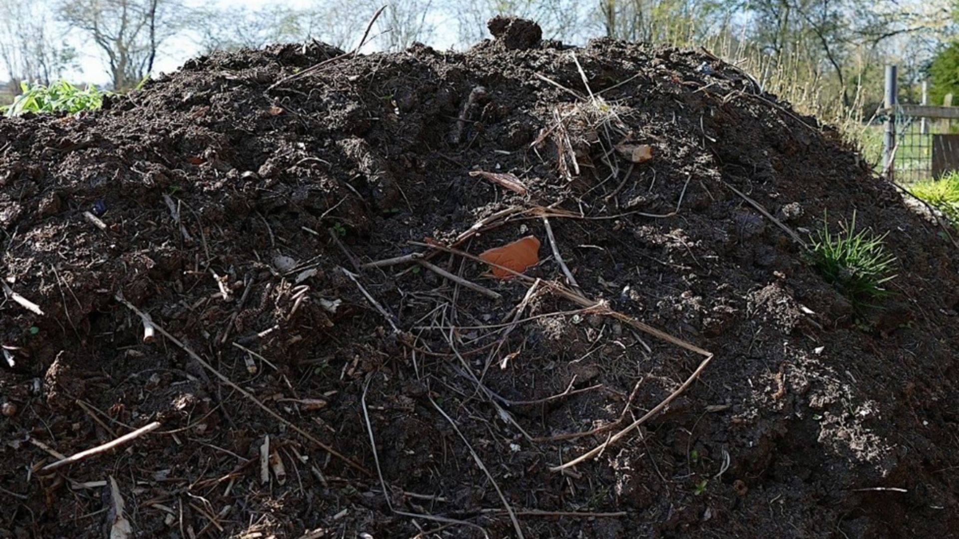 static composting is just one option