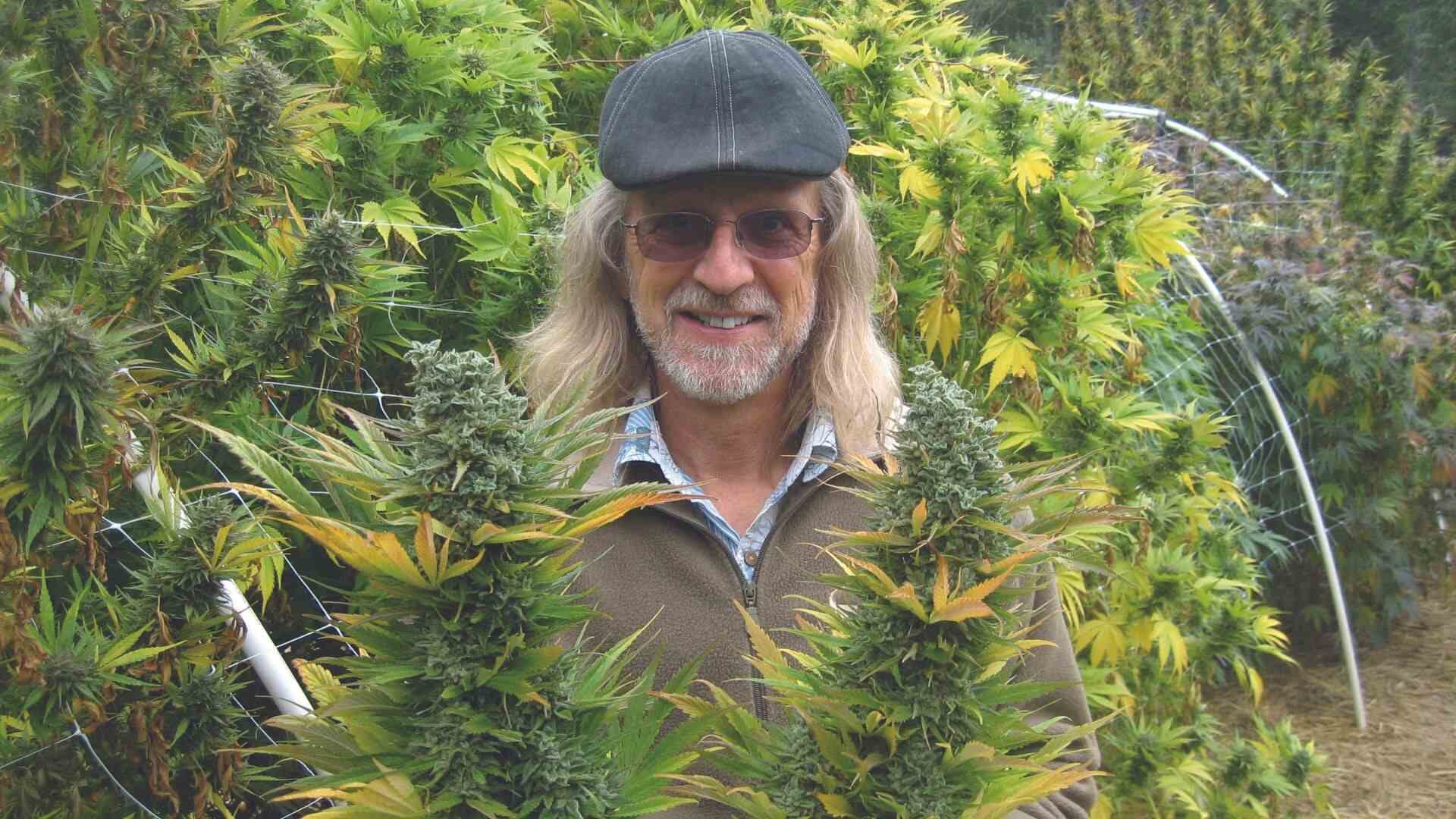 Cultivation legend Jorge Cervantes