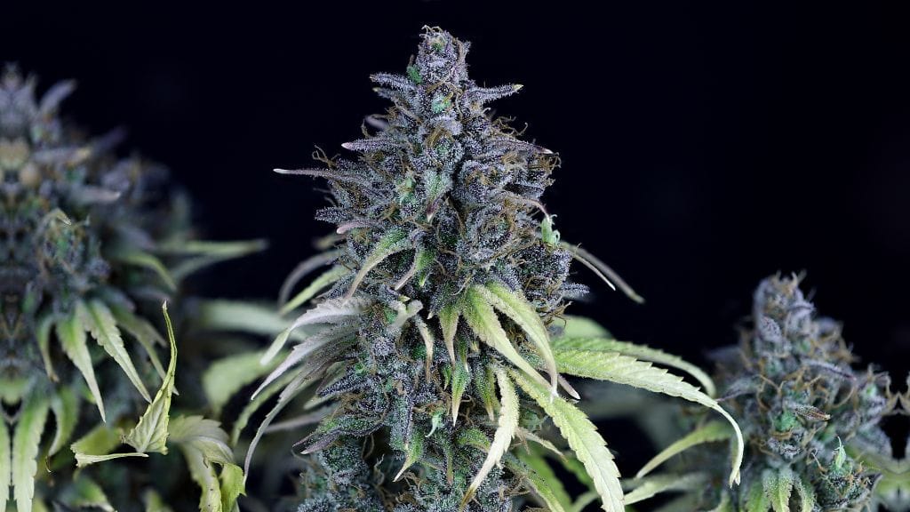 how to stop being high