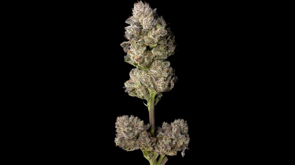 how to stop being high