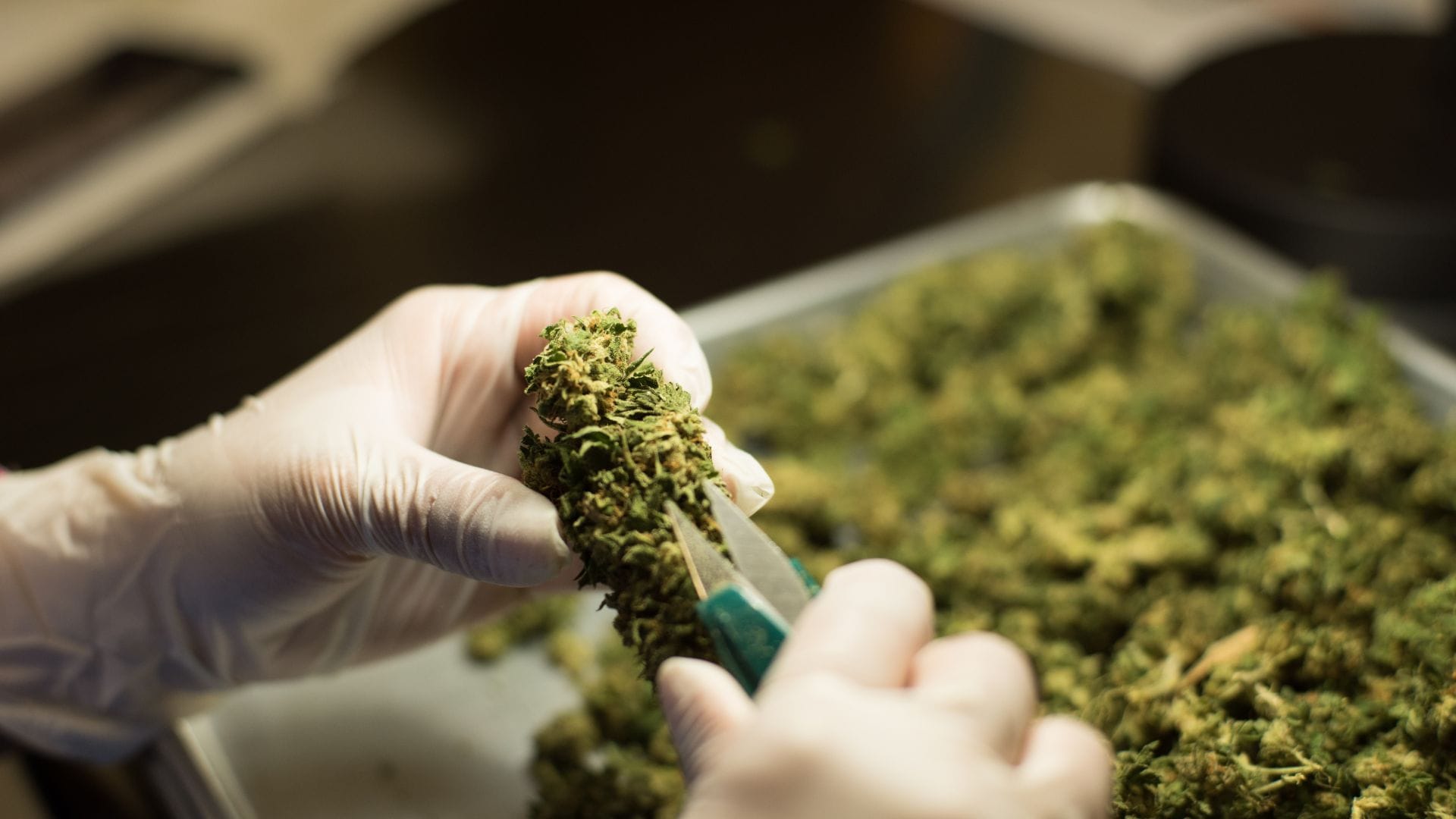 When you trim can dictate final quality