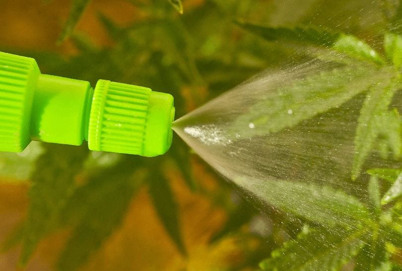 Spray Delivery of Nutrients