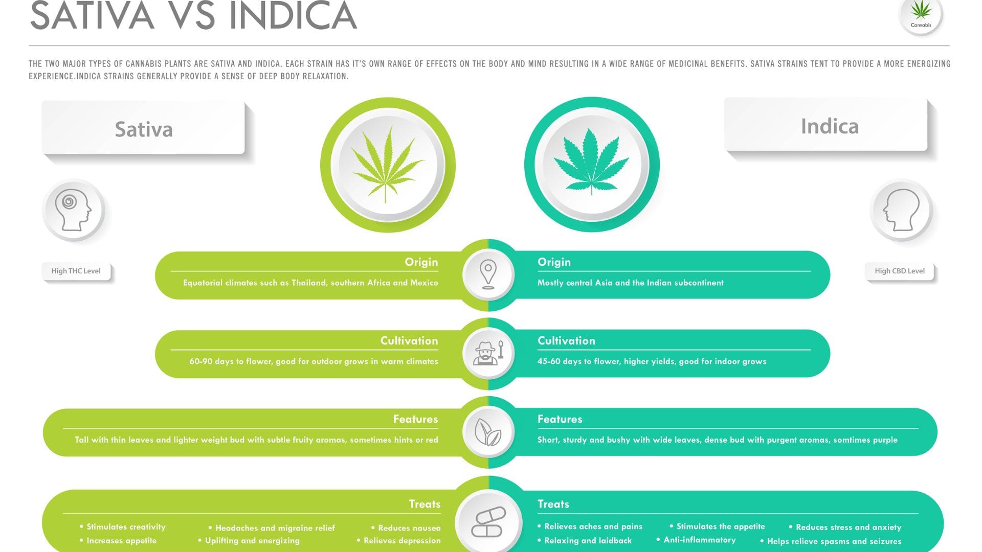 indica sativa best cannabis seeds