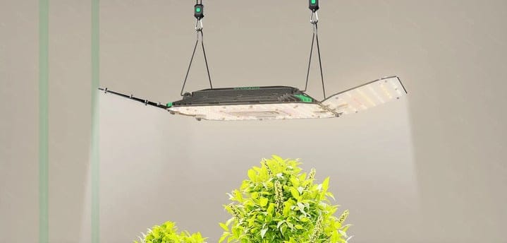 Vivosun TerpLux uniform light distribution