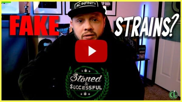 WHITE LABELING GENETICS: Why You May Have Fake Genetics