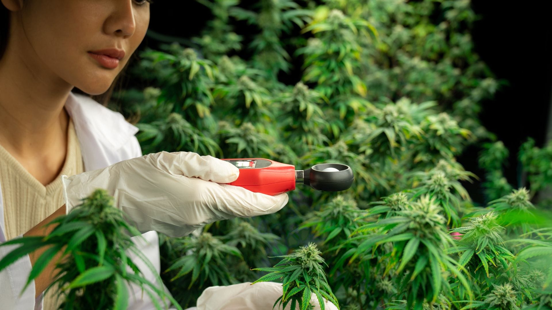 Keep humidity under control