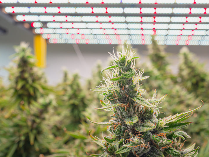 set lighting to correct height to control height