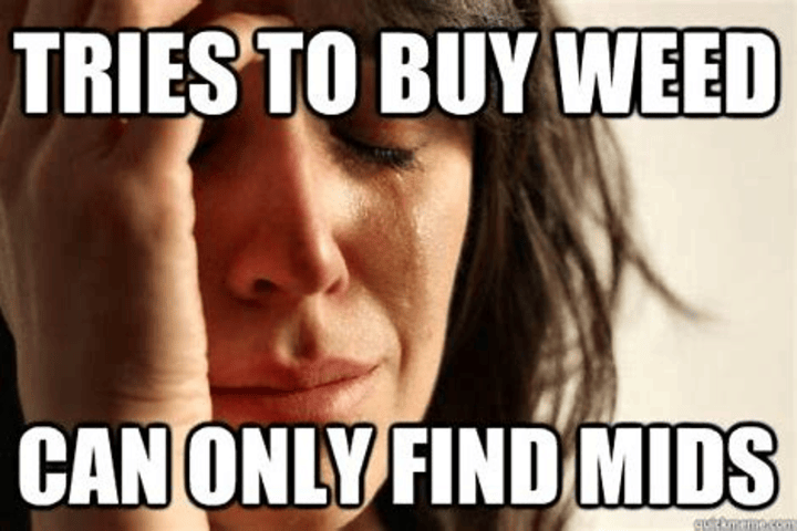 are autoflowers still inferior to photoperiod