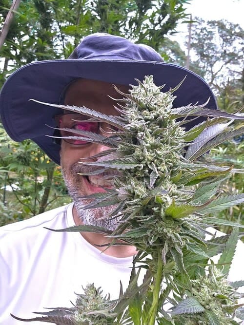 Blaze 2025 successes