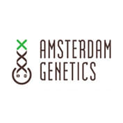 Kosher Tangie Kush Feminised Seeds