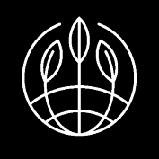 Fog Dog Auto Feminised Seeds