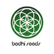 Appalachian Super Skunk Regular Seeds - 11