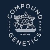 A.B. Parfait Feminized Seeds