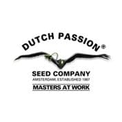 Banana Blaze Feminized Seeds