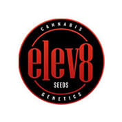 Aqua Verde Feminised Seeds