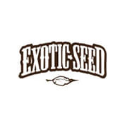 Malawi White Truffle Feminised Seeds