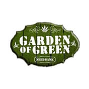 Phantom Cookies Domina Feminised Seeds