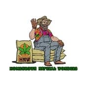 Jack Straw Regular Seeds