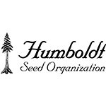 Gushers Fast Feminised Seeds