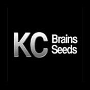 KC 48 Auto Feminised Seeds - 5