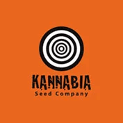 Dream Sherbet Auto Feminised Seeds